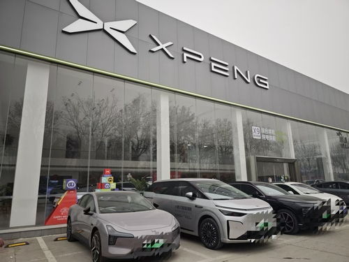 记者探访济南十余家汽车销售门店 新能源汽车与合资品牌成市场焦点