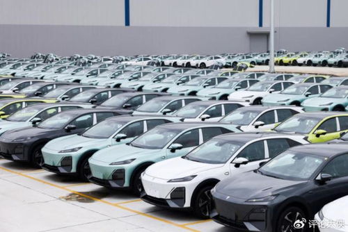 2025重庆汽车市场半年报 本土品牌强势崛起，包揽销量前三甲